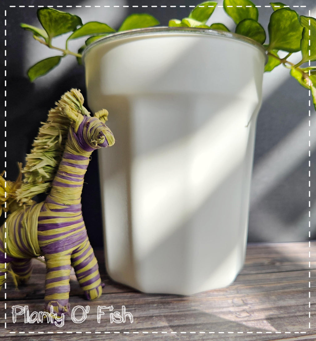 Minimalist self-watering pot (Not 3D printed)