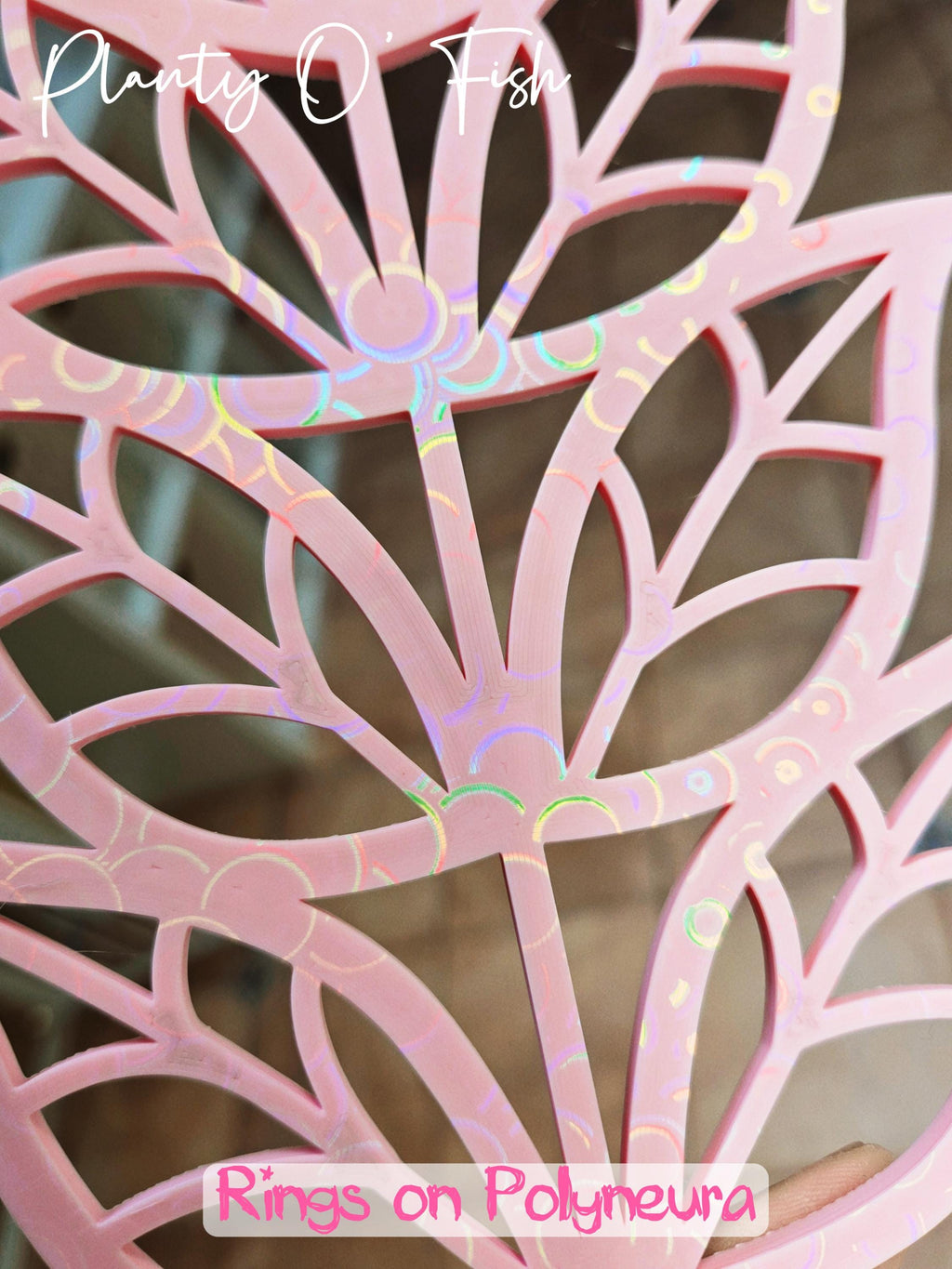 The Enchanted Trellis: Polyneura