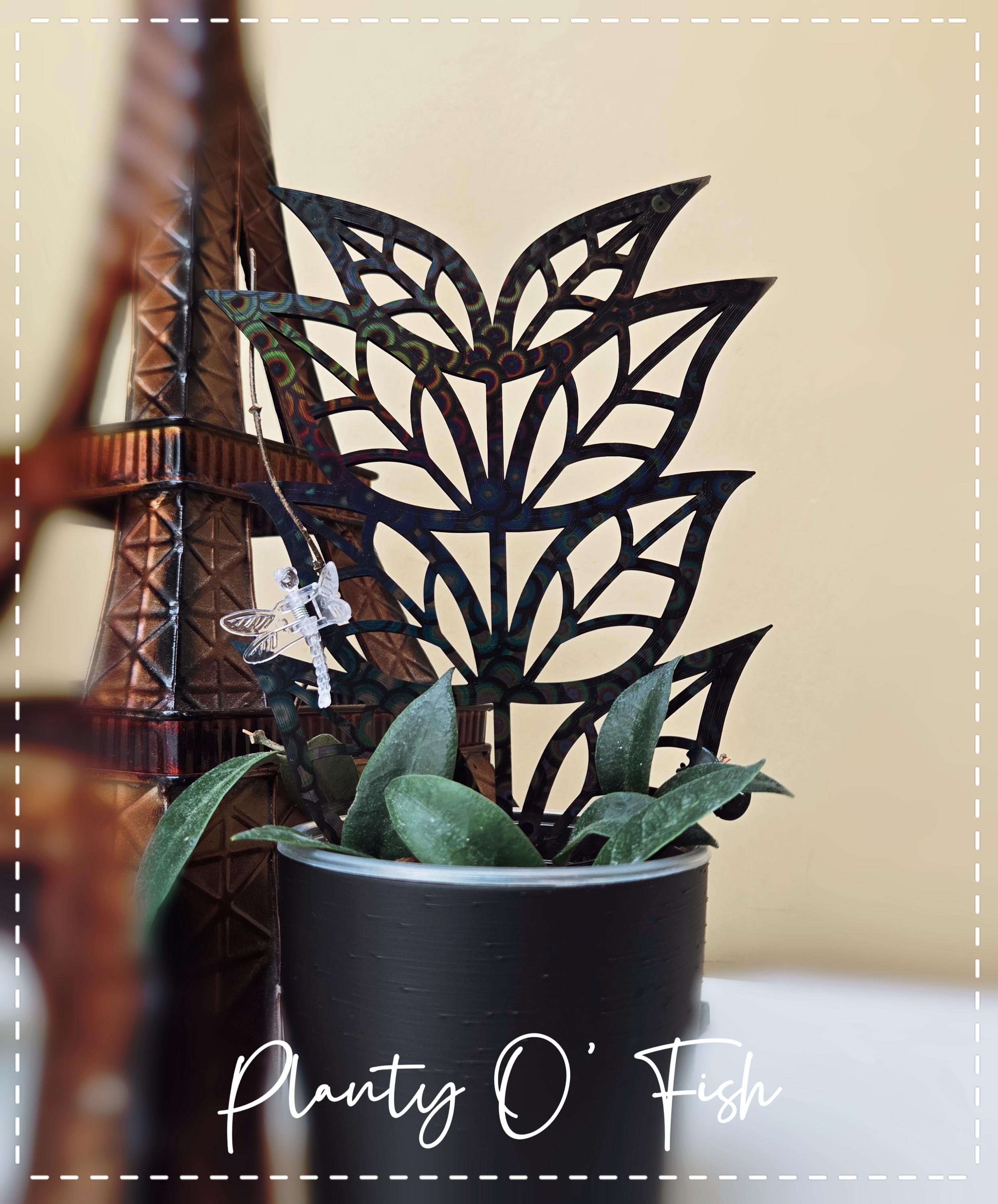 The Enchanted Trellis: Polyneura