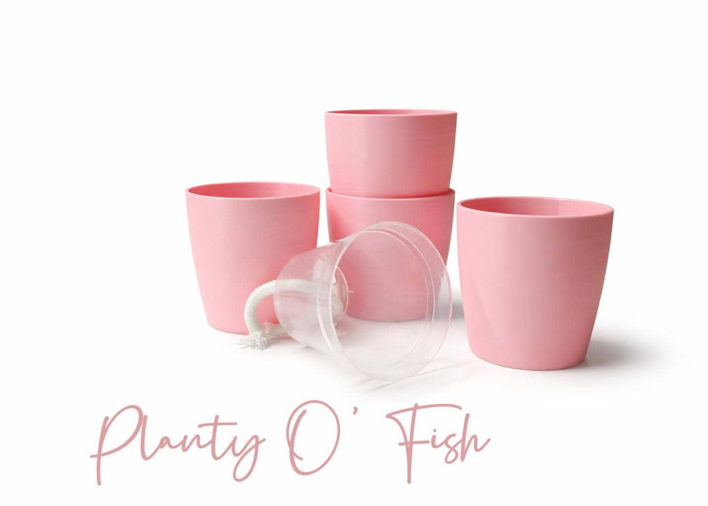 The Cutie Patootie 2.5" Selfwatering Pot Set of 4 or 5