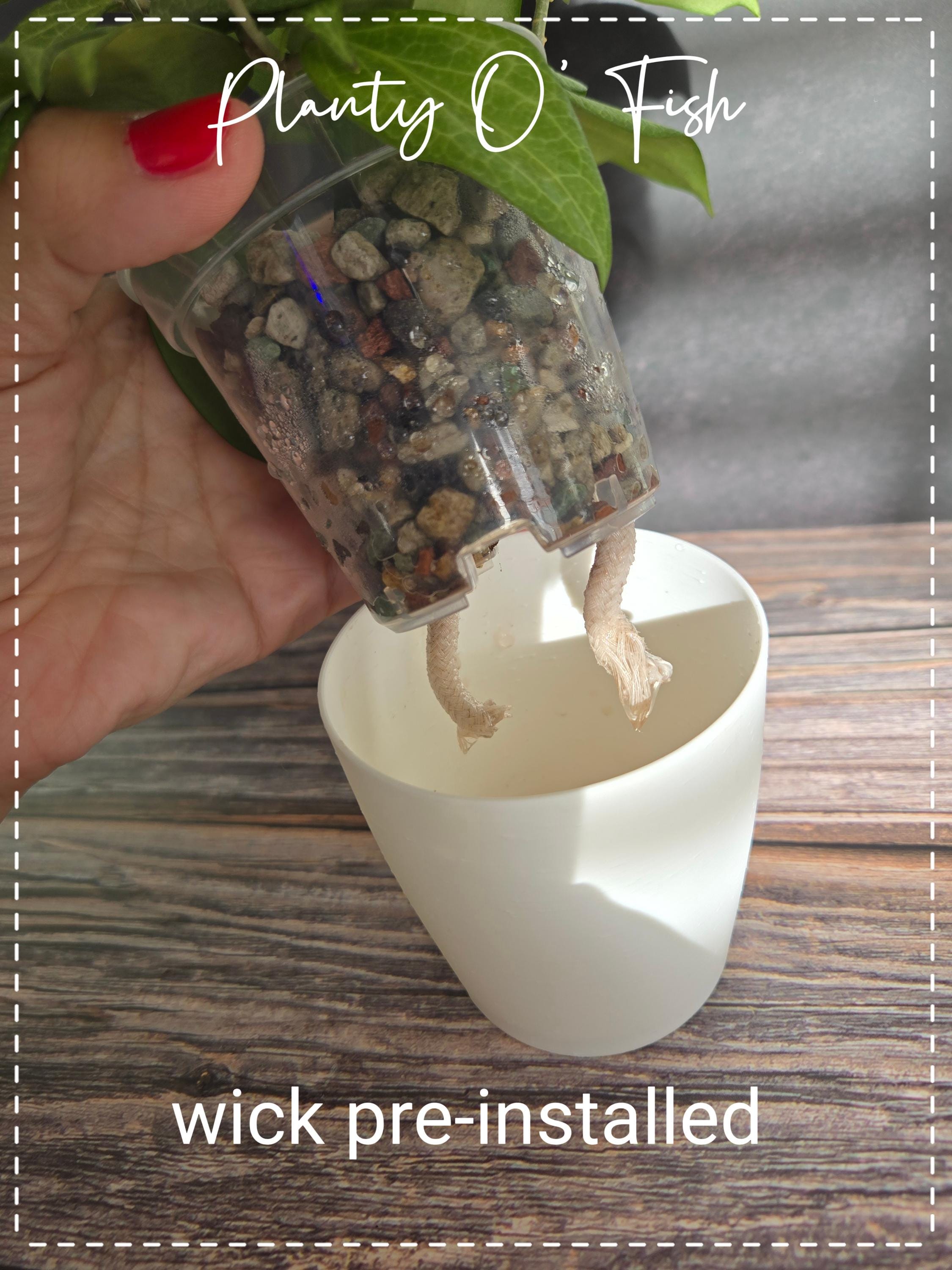 The "Basic" Selfwatering Pot
