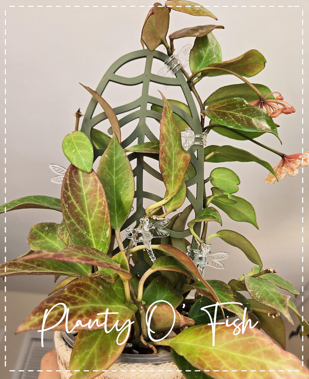 The Enchanted Trellis: Ganung Gading
