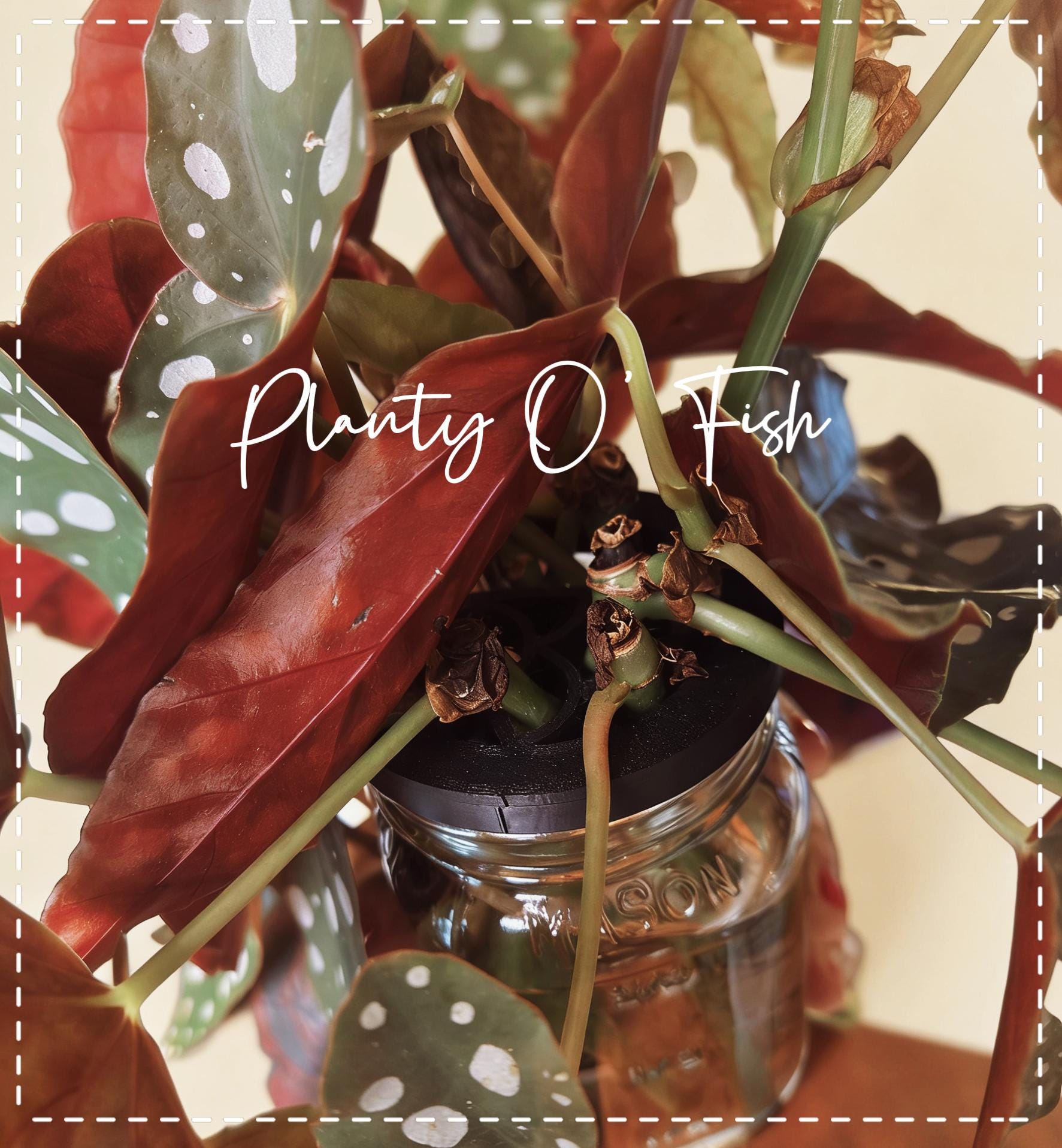 Proppy: propogation support for mason jars