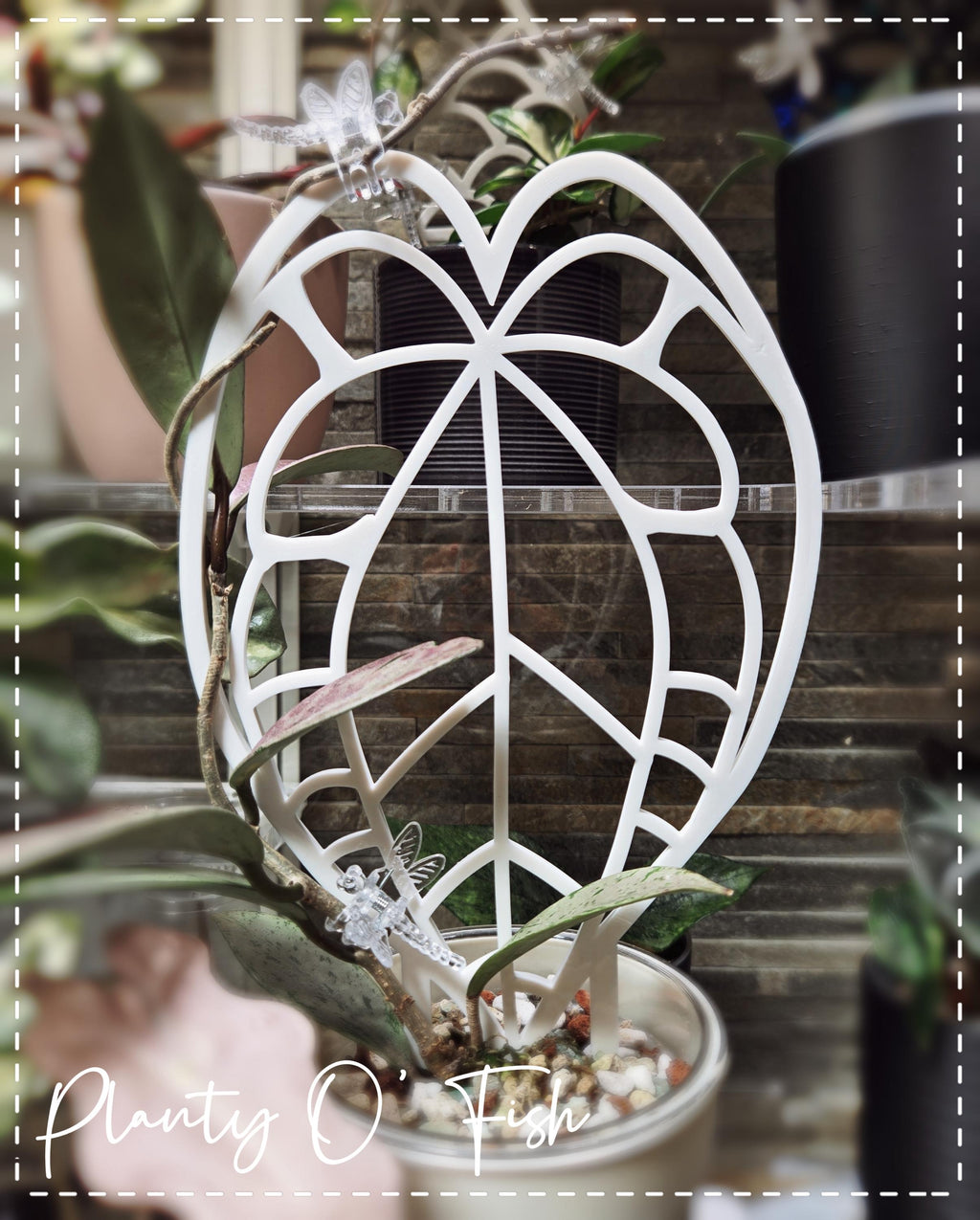 The Enchanted Trellis: Crystallinum