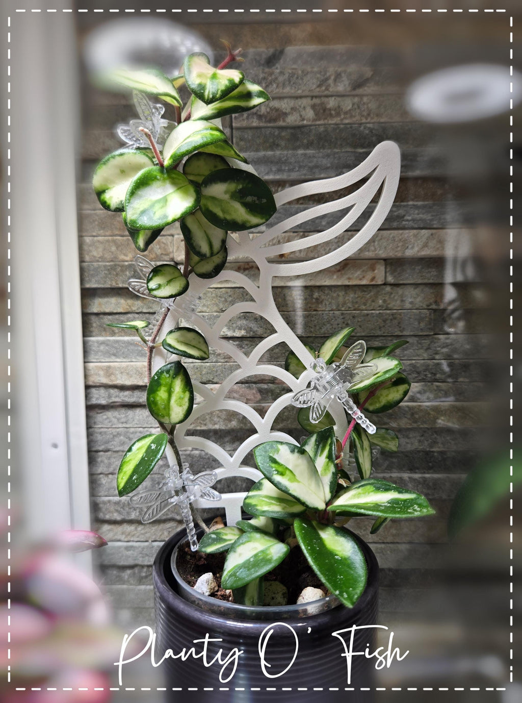 The Enchanted Trellis: Merimaid