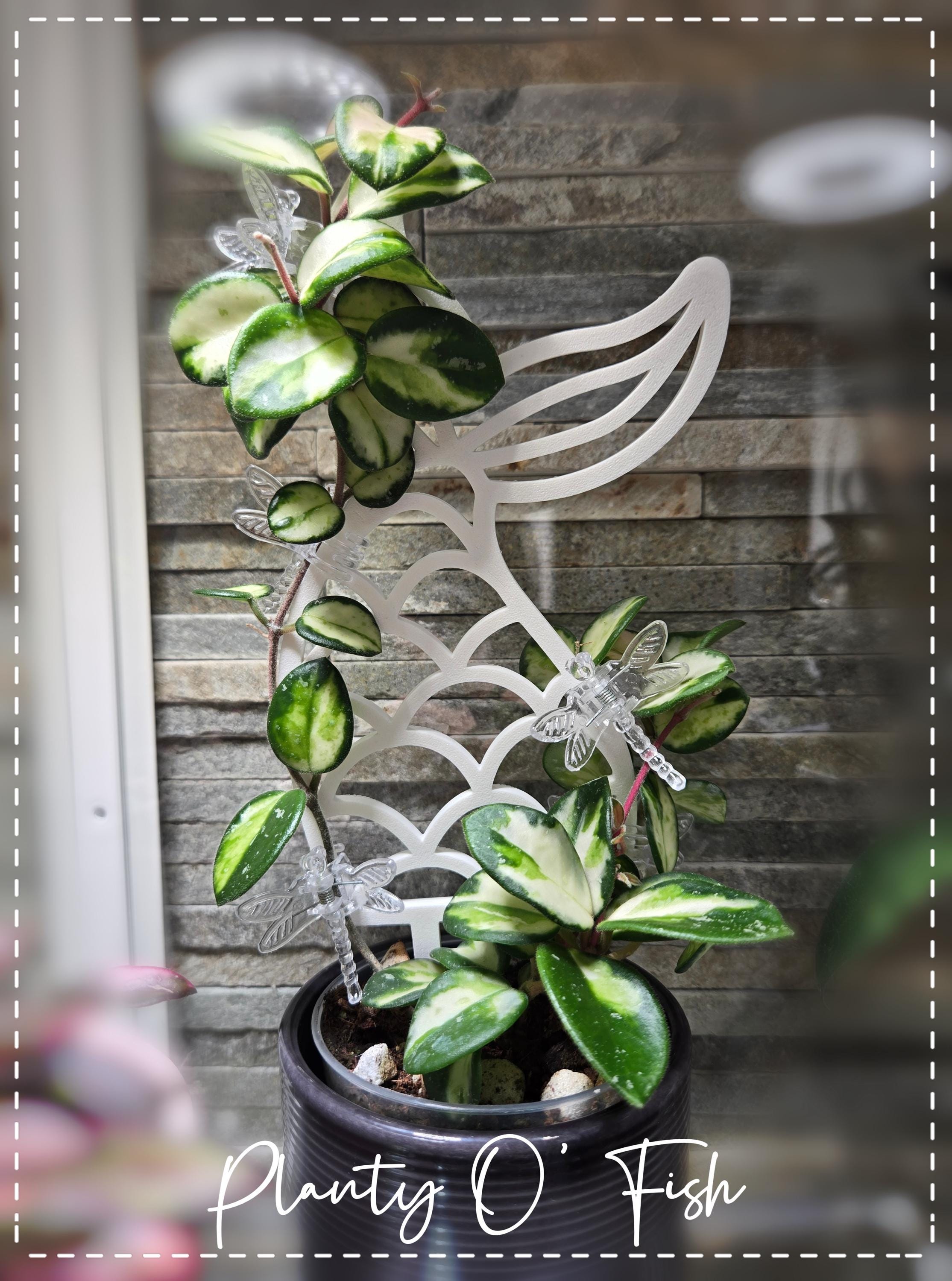 The Enchanted Trellis: Merimaid