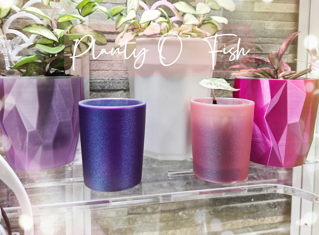 The Prop Corm 2" Selfwatering Mini Pot Set of 5