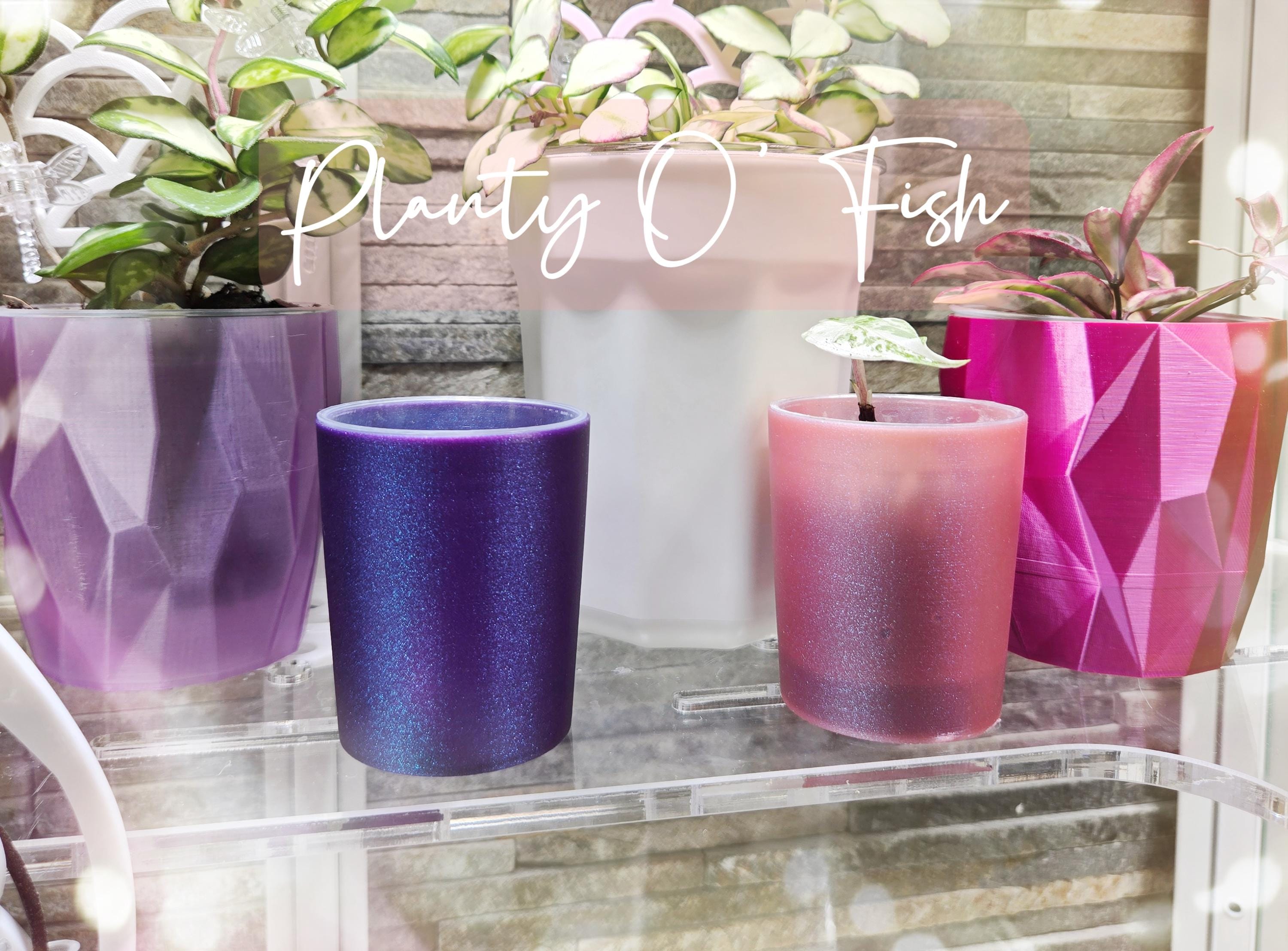 The Prop Corm 2" Selfwatering Mini Pot Set of 5