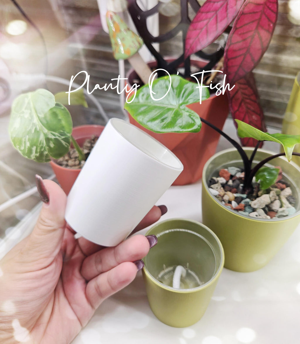The Prop Corm 2" Selfwatering Mini Pot Set of 5