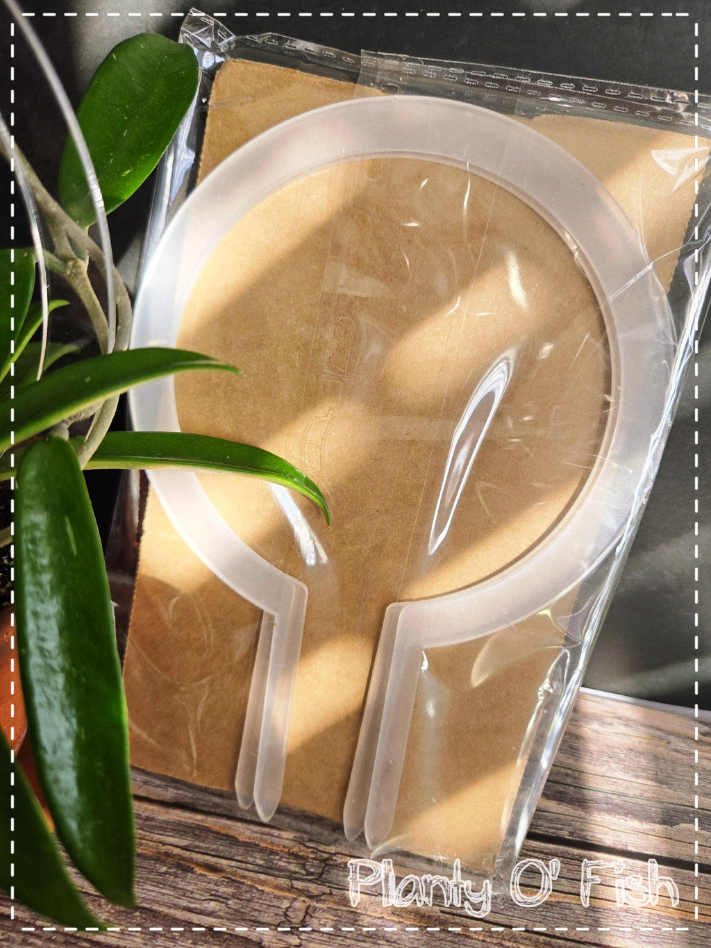 Clear Acrylic Circle Trellis Set of 2 (Not 3D Printed)