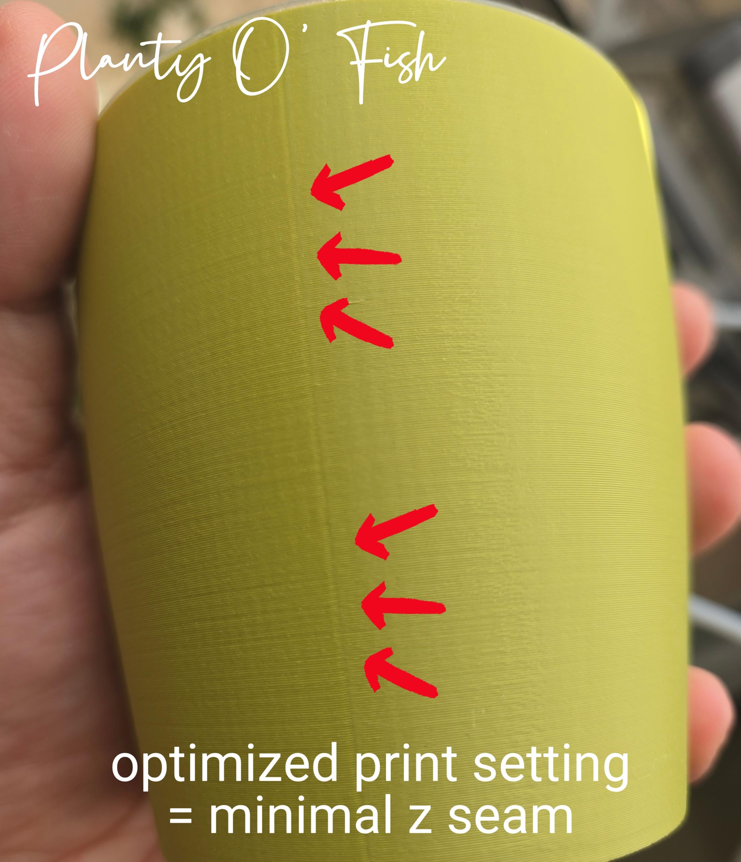 The "Basic" Selfwatering Pot