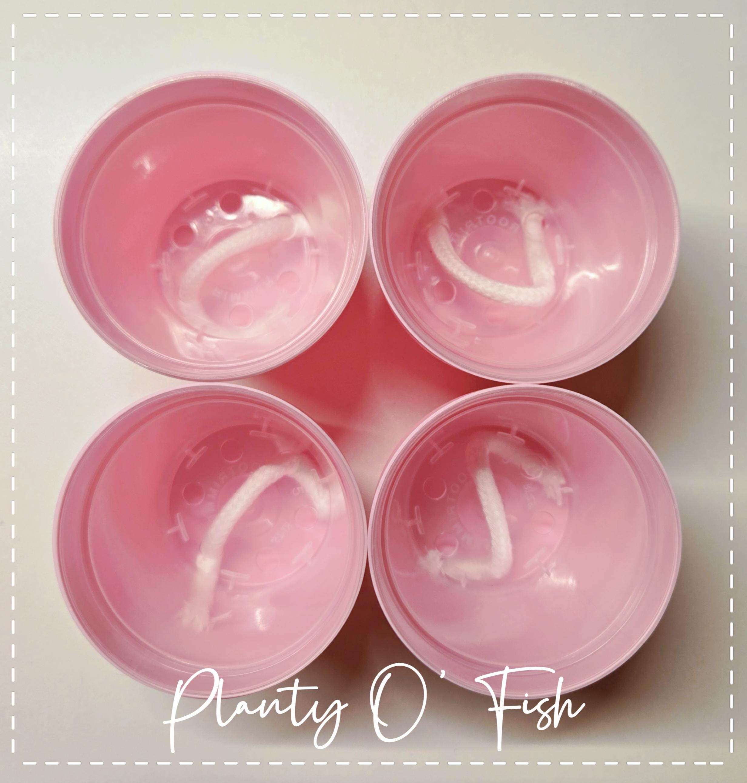 The Cutie Patootie 2.5" Selfwatering Pot Set of 4 or 5