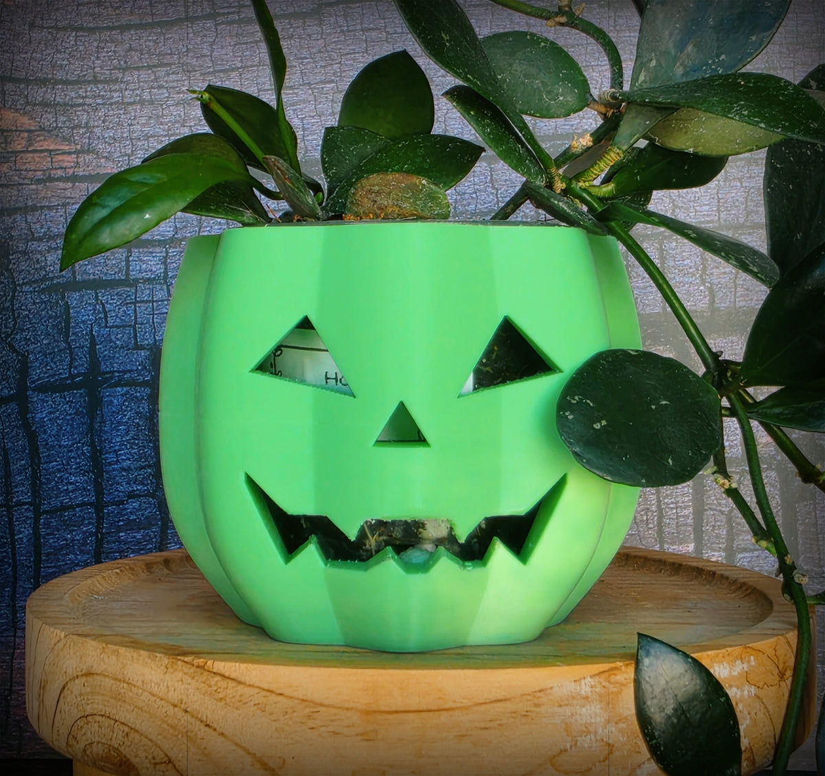 The "Pumpkin King" Selfwatering pots