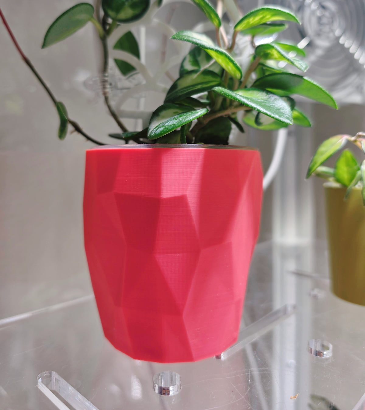The "Edge" Selfwatering Pot