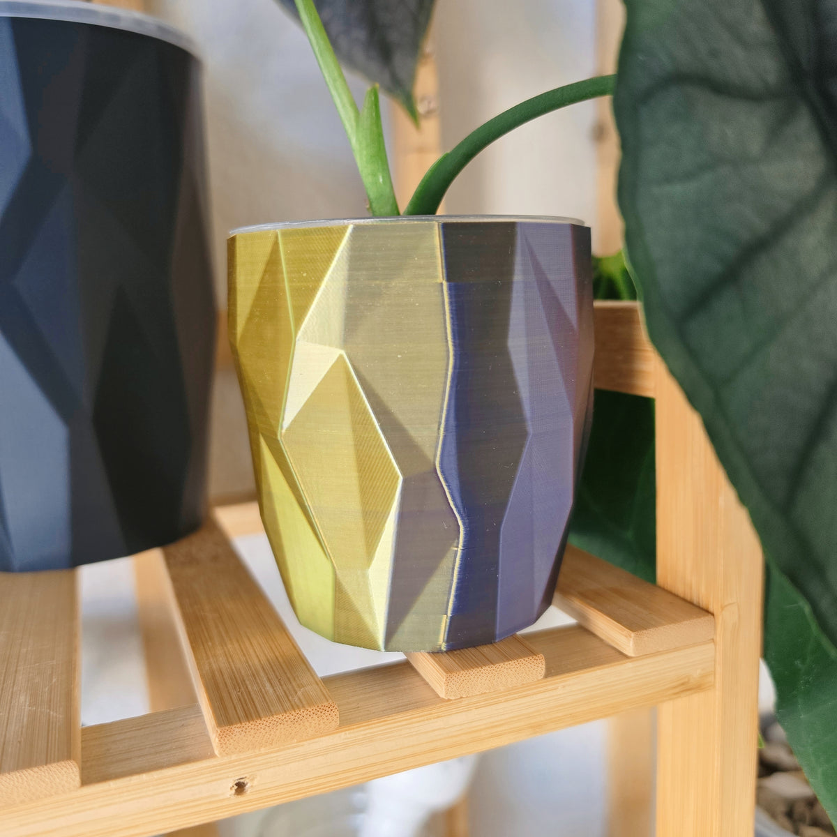 The "Edge" Selfwatering Pot